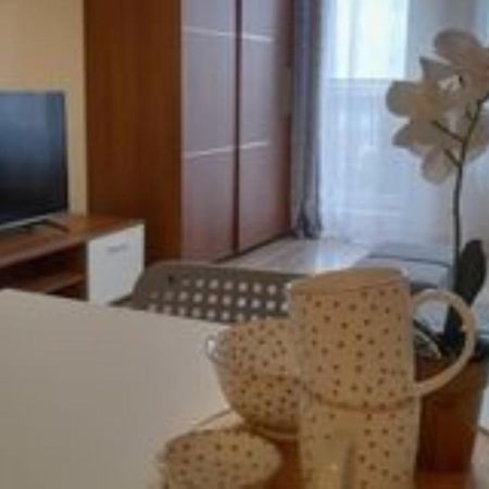 Apartament Z Garazem Blisko Lotniska П'ясечно Екстер'єр фото