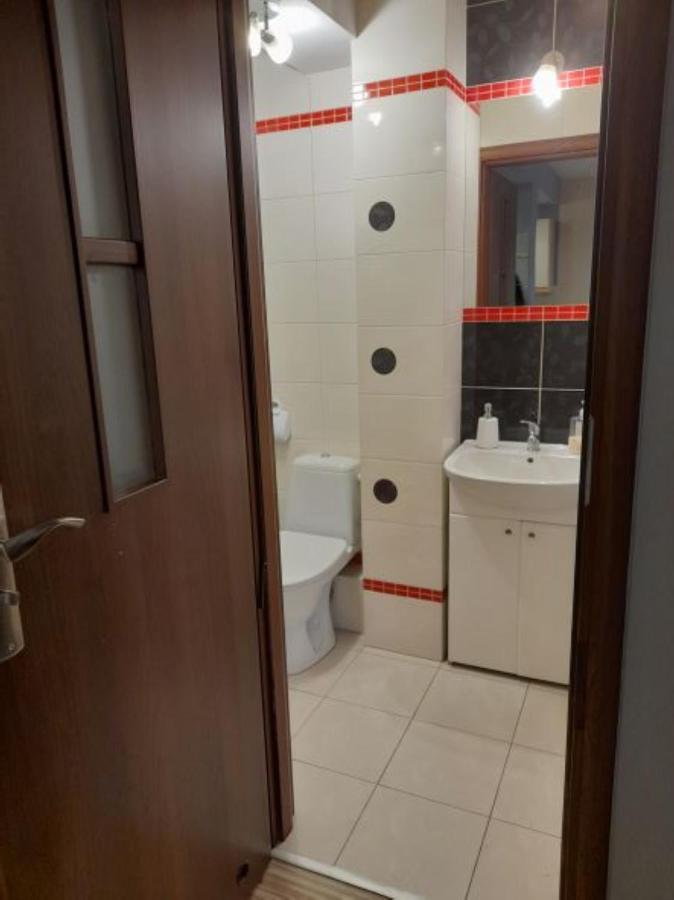 Apartament Z Garazem Blisko Lotniska П'ясечно Екстер'єр фото