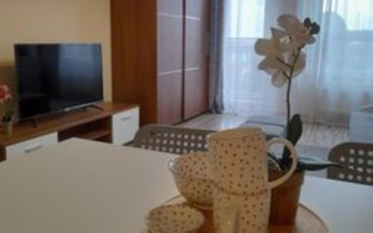 Apartament Z Garazem Blisko Lotniska П'ясечно Екстер'єр фото
