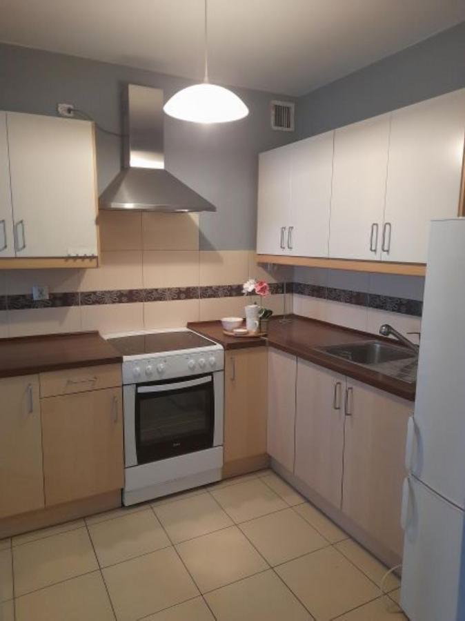 Apartament Z Garazem Blisko Lotniska П'ясечно Екстер'єр фото