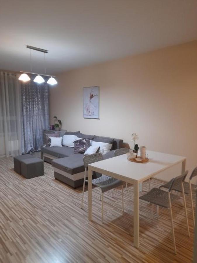 Apartament Z Garazem Blisko Lotniska П'ясечно Екстер'єр фото