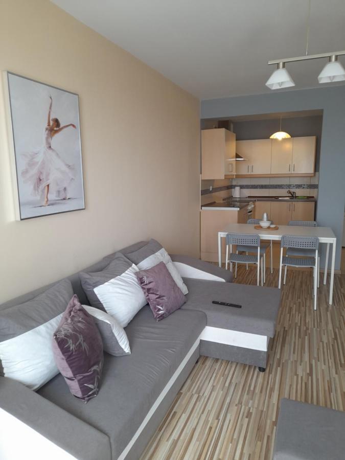 Apartament Z Garazem Blisko Lotniska П'ясечно Екстер'єр фото